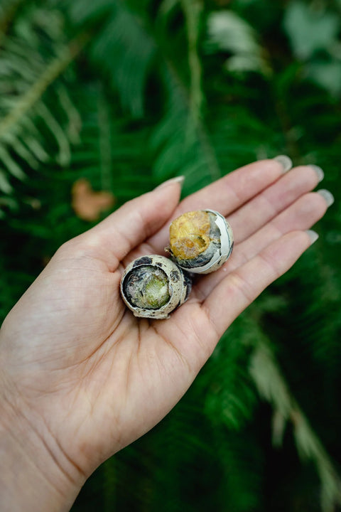 Love Liparu - Balut Quail Eggs