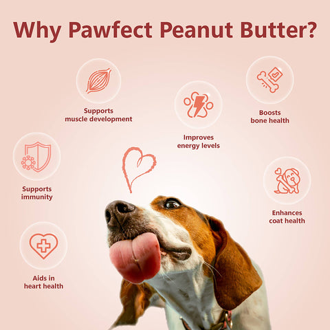 Pawfect Pet Foods Pvt Ltd - USA - Pawfect Peanut Butter for Dogs | 100% Natural Peanut Butter | No Added Sugar, Salt, Palm Oil | No Sweeteners, No Xylitol | Dog Friendly Texture | Healthy Lickable Dog Treat