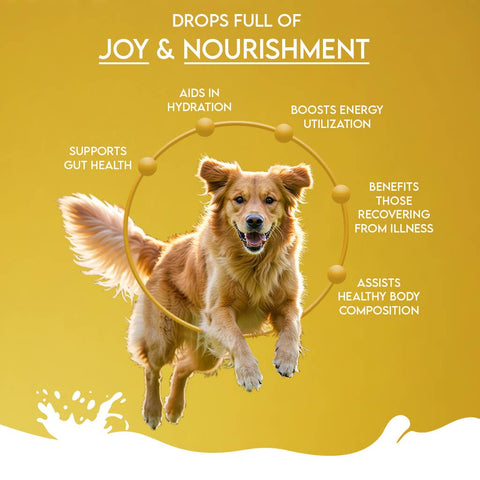 Pawfect Pet Foods Pvt Ltd - USA - Pawfect Nature's Sip 100% Natural Camel Milk Powder for Dogs & Puppies| Easily Digestible| Source of Vitamins, Minerals, Probiotics| Healthy Topper| Hydration Support | Milk Replacer for Dogs