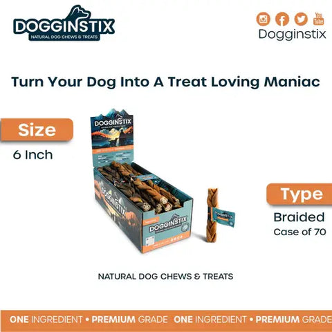 Dogginstix - 6" Braided Lamb Collagen Sticks