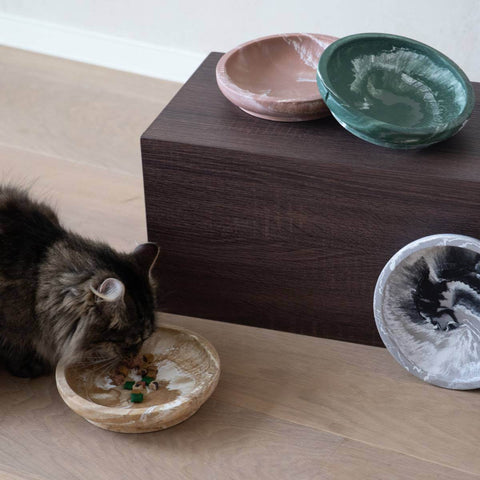 PINO - Whisker Friendly Bowls - 2024 Collection