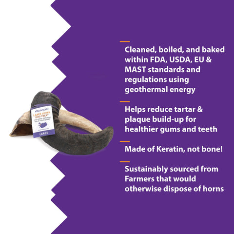 Icelandic+ - Icelandic+ Large Lamb Horn Dog Treat 12-Ct Display Box