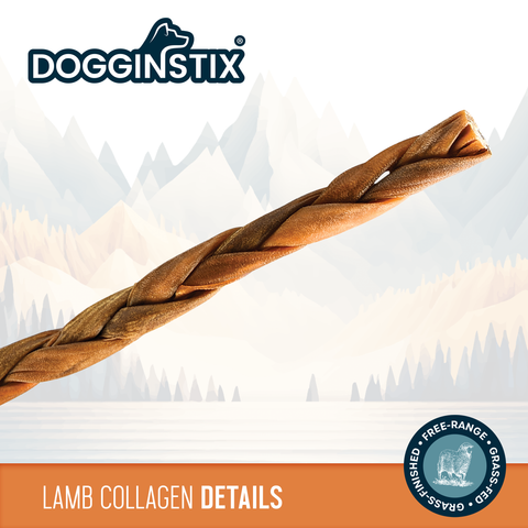 Dogginstix - 6" Braided Lamb Collagen Sticks