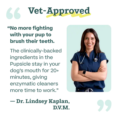 Woof - Pupsicle Mix- Doggy Dental