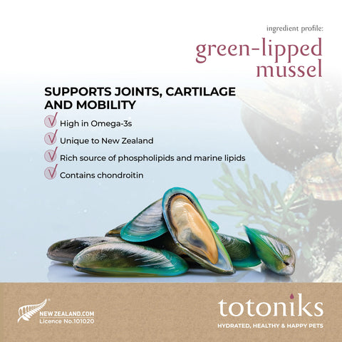 Totoniks Gut Health & Hydration Refill Pack – for big dogs over 33lb (15kg)