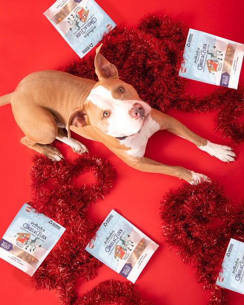 Polkadog - Holiday Pouch: Tinsel & Flock (Clam) - 5oz