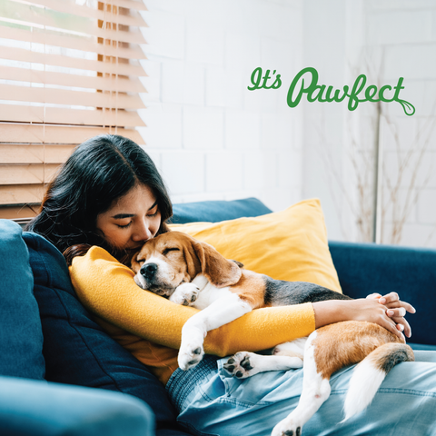 Pawfect Pet Foods Pvt Ltd - USA - Pawfect Peanut Butter for Dogs | 100% Natural Peanut Butter | No Added Sugar, Salt, Palm Oil | No Sweeteners, No Xylitol | Dog Friendly Texture | Healthy Lickable Dog Treat