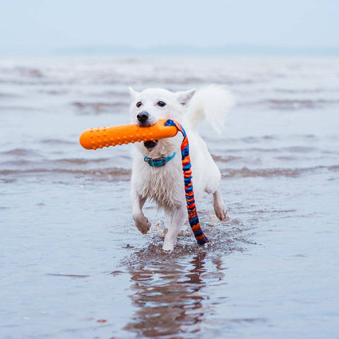 Tug-E-Nuff - Tug-E-Nuff | BOB: The 3-in-1 Dummy | Fetch, tug, & float