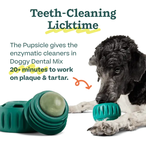 Woof - Pupsicle Mix- Doggy Dental