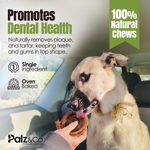 Palz&Co - Moodog Beef Bully Bun/Cap - Pack of 1