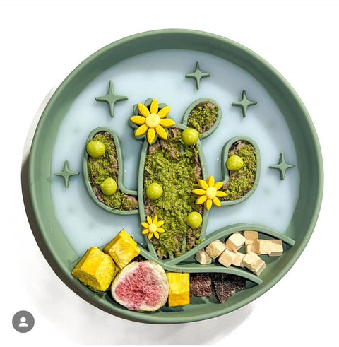 Barks and Brownies - Cactus Slow Feeder Grass