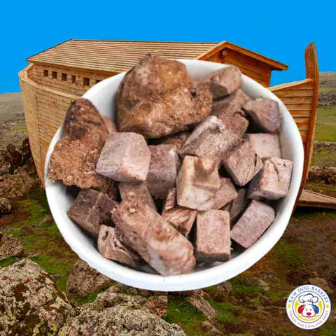 Raw Dog Barkery - Noah's Ark