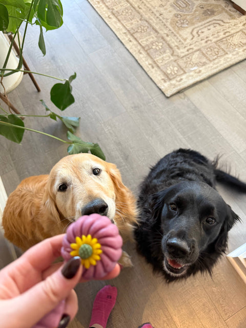Pearl and Paw - Meat-Filled, Soft Gourmet Pet Treat Dye-Free (Shelf-Stable)
