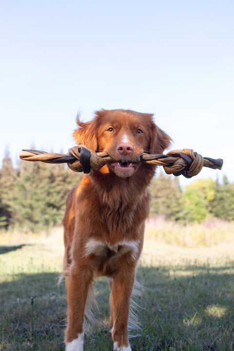 Dogginstix - Braided Sticks Lamb Collagen Double Knots