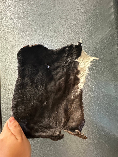 Tapia raw meats for pet food - Cow Hide Flats 