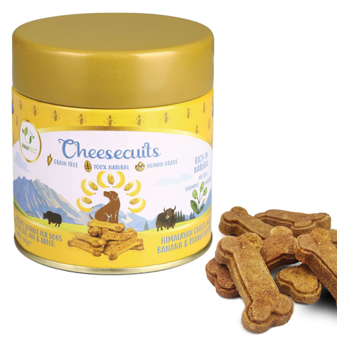 Pawfect Pet Foods Pvt Ltd - USA - Pawfect Cheesecuits | Cheese biscuits for dogs with 80% Cheese & 20% Banana, Peanut Butter & Eggs | All-natural training treats | High protein reward treats | Grain-free| Hypoallergenic| (100g/3.53oz)