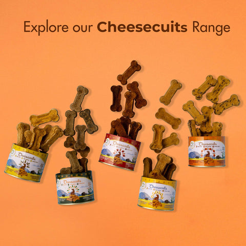 Pawfect Pet Foods Pvt Ltd - USA - Pawfect Cheesecuits | Cheese biscuits for dogs with 80% Cheese & 20% Pumpkin, Flaxseeds & Eggs | All-natural high-protein dog treats | Grain-free, hypoallergenic & rich in antioxidants | (100g/3.53oz)