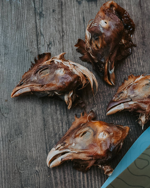 Litto Howler - Chicken Head | 6 Count