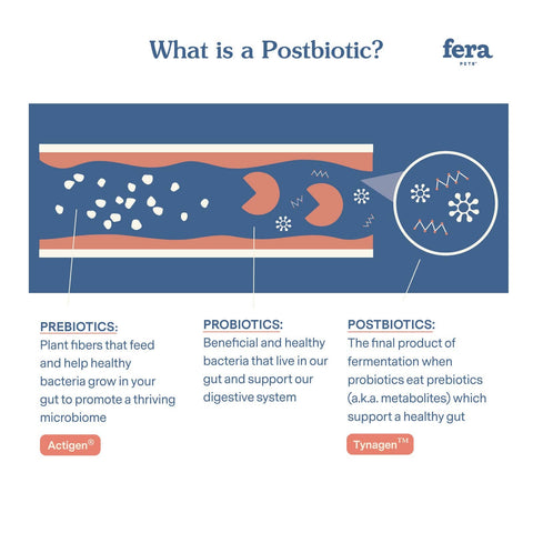 Fera Pets - Postbiotics Plus for Dogs