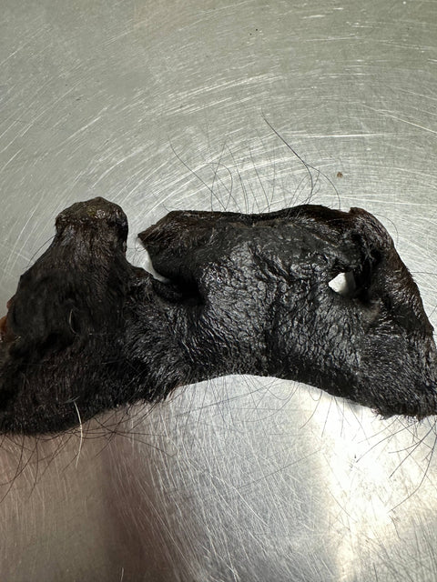 Tapia raw meats for pet food - Beef Nose