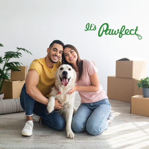 Pawfect Pet Foods Pvt Ltd - USA - Pawfect Peanut Butter with Strawberry & Pumpkin Seeds for Dogs & Puppies | 100% Natural| No Added Sugar, Salt, Palm Oil | No Sweeteners, No Xylitol | Healthy Dog Treat (275g/9.70oz)