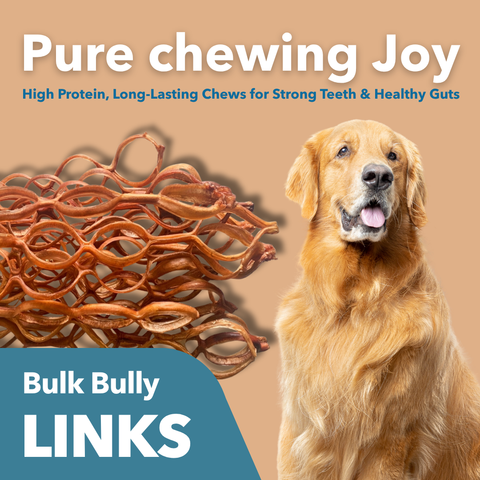 hard chew - Bully Links