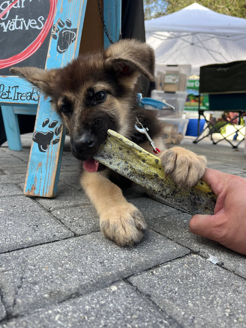 Florida Man Pet Treats - Dehydrated Mahi Mahi Dog Chew