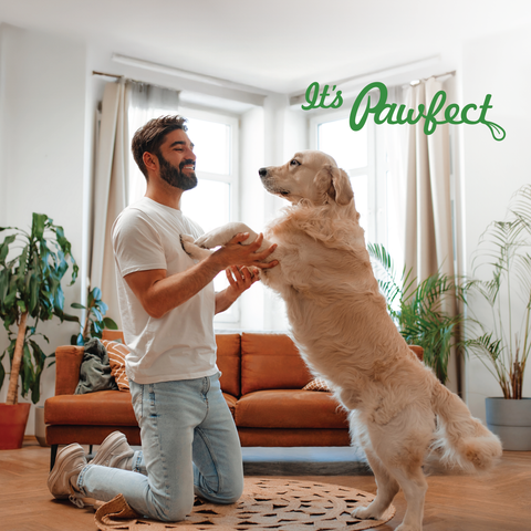 Pawfect Pet Foods Pvt Ltd - USA - Pawfect Nature's Sip 100% Natural Goat Milk Powder for Dogs & Puppies| Easily Digestible| Source of Vitamins, Minerals, Probiotics| Healthy Topper| Hydration Support | Milk Replacer for dogs