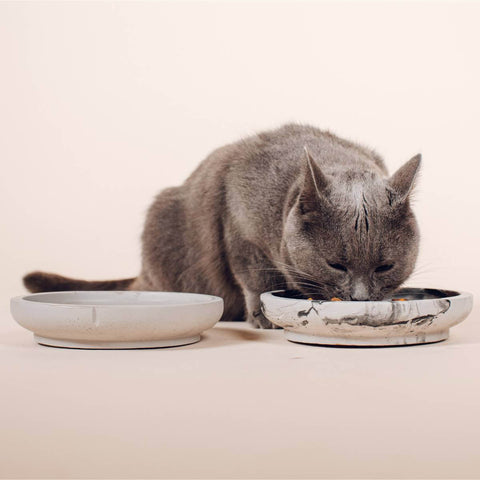 PINO - Whisker Friendly Bowls - 2024 Collection