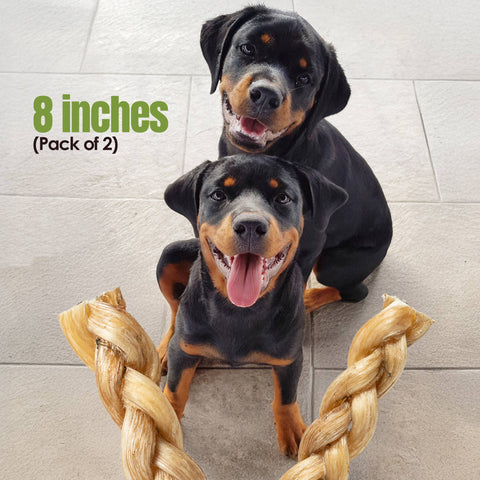 Palz&Co - Moodog Beef Braided Tendon 8", 2 Pack