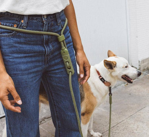 Zee.Dog - Army Green | Hands-Free Leash