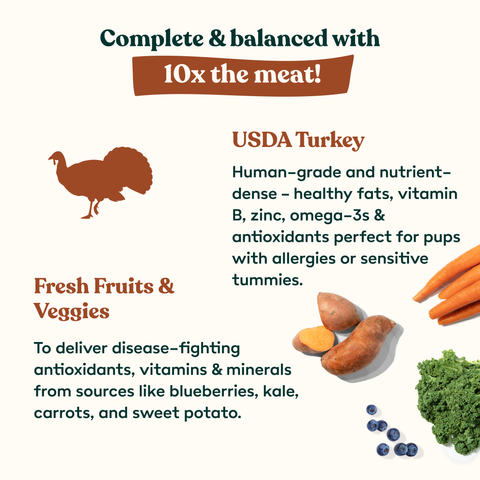 Little Hunter - Raw Turkey Recipe