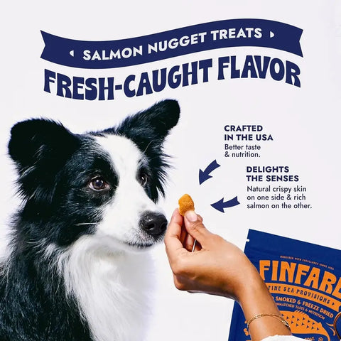 Finfare Pet Foods - 4oz Freeze-Dried Salmon Nuggets for Dogs, 4oz