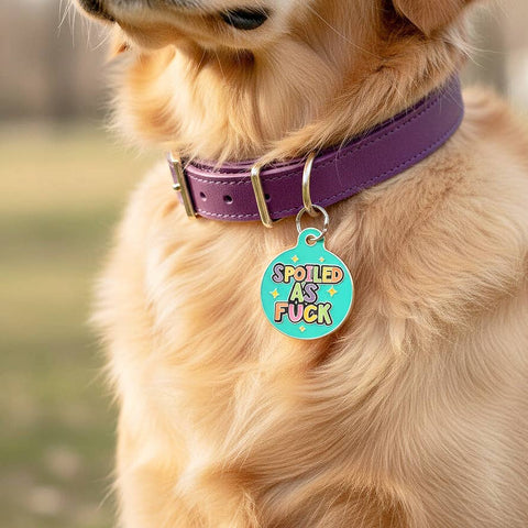 Bad Tags - Personalized Dog ID Tag w/ Scannable Code - Spoiled As Fuck