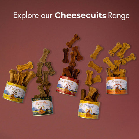 Pawfect Pet Foods Pvt Ltd - USA - Pawfect Cheesecuits | Cheese biscuits for dogs with 80% Cheese & 20% Apple, Eggs and Cinnamon | All-natural training treats | High protein reward treats | Grain-free| Hypoallergenic| (100g/3.53oz)