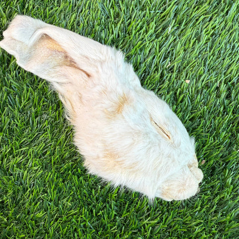 Golden Nibbles - Rabbit Half Head - Freeze-Dried Treat/Chew for Dogs