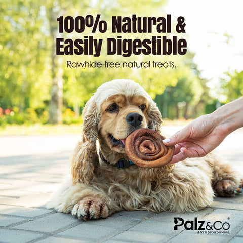 Palz&Co - Moodog Beef Bully Bun/ Caps, 25 Pack