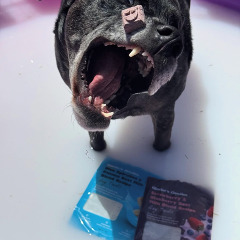 Glacier's Goodies - Goat Milk Dog Treats – Banana & Peanut (7oz) 6pack