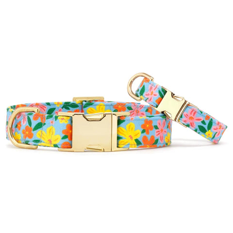 The Foggy Dog - Dog Collar