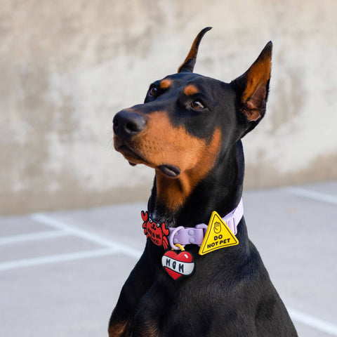 Jiby Dog Crew - Do Not Pet Jiby Dog Charm