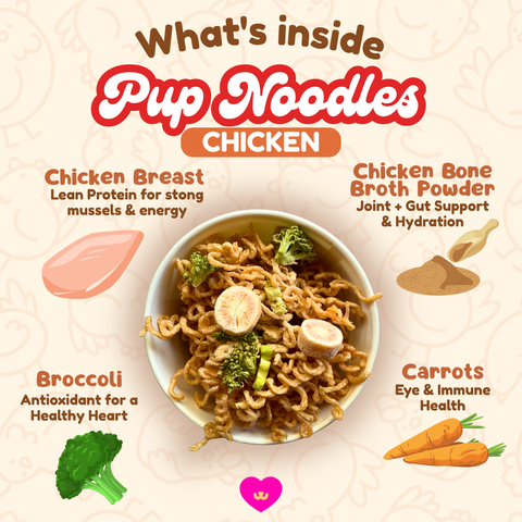 Owa Owa - Pup Noodles Chicken- VIRAL cup noodles for dogs & cats
