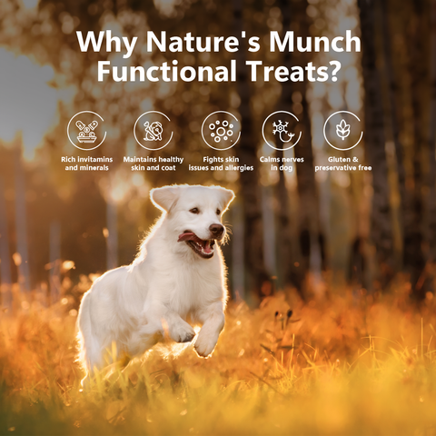 Pawfect Pet Foods Pvt Ltd - USA - Pawfect Nature's Munch Freeze-Dried Skin Care Cheese Treat for Dogs| 100% Natural| High Protein, Low Fat| 8 Calories per Treat| Grain-Free| Healthy Training Treats (75g/2.65oz)
