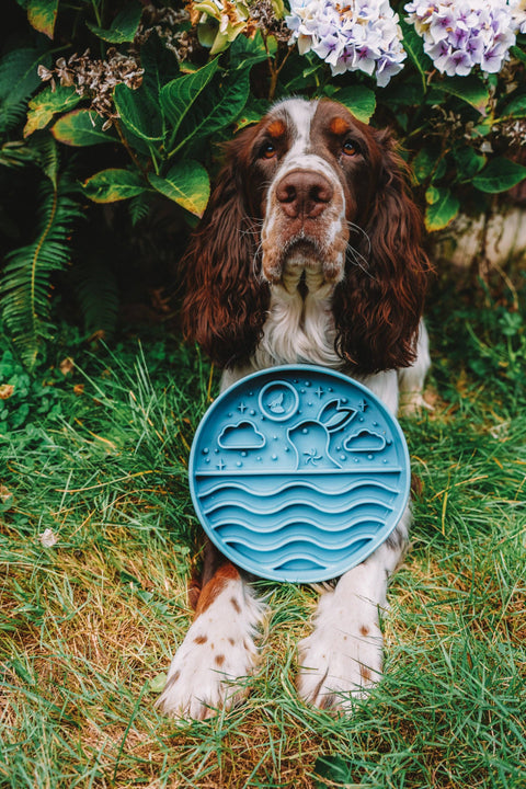 Wild n Fresh Treats - Moon Festival Grub Mat