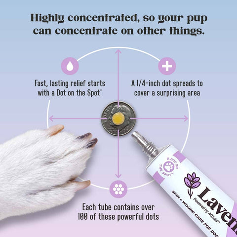 Lavengel - Lavengel - Natural Skin + Wound Care Ointment for Dogs