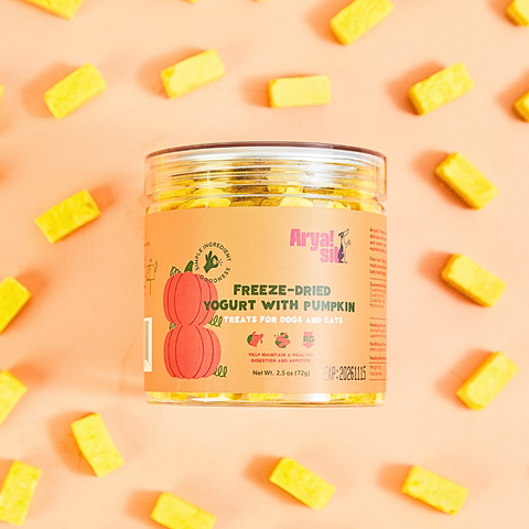 Arya Sit! - Freeze-Dried Pumpkin Yogurt