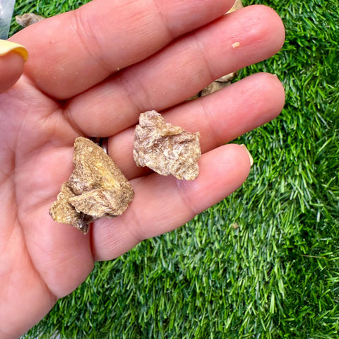 Golden Nibbles - Pork Tongue - 3oz Bag - Freeze-Dried Treat for Dogs & Cats