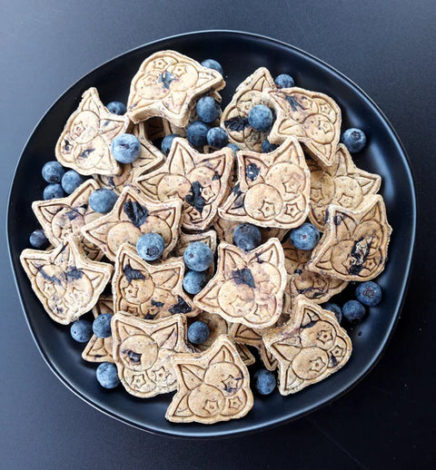 Chienne Pawtisserie Blueberry Buckle Biscuits