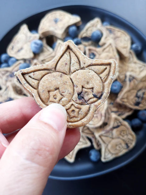 Chienne Pawtisserie Blueberry Buckle Biscuits