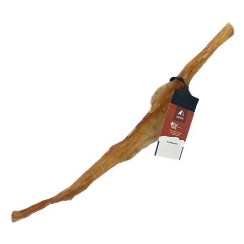 Medium chew - Large BisonTendon Chew Strip