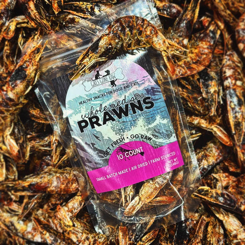 Girls Gone Raw - Whole Red Sea Prawns